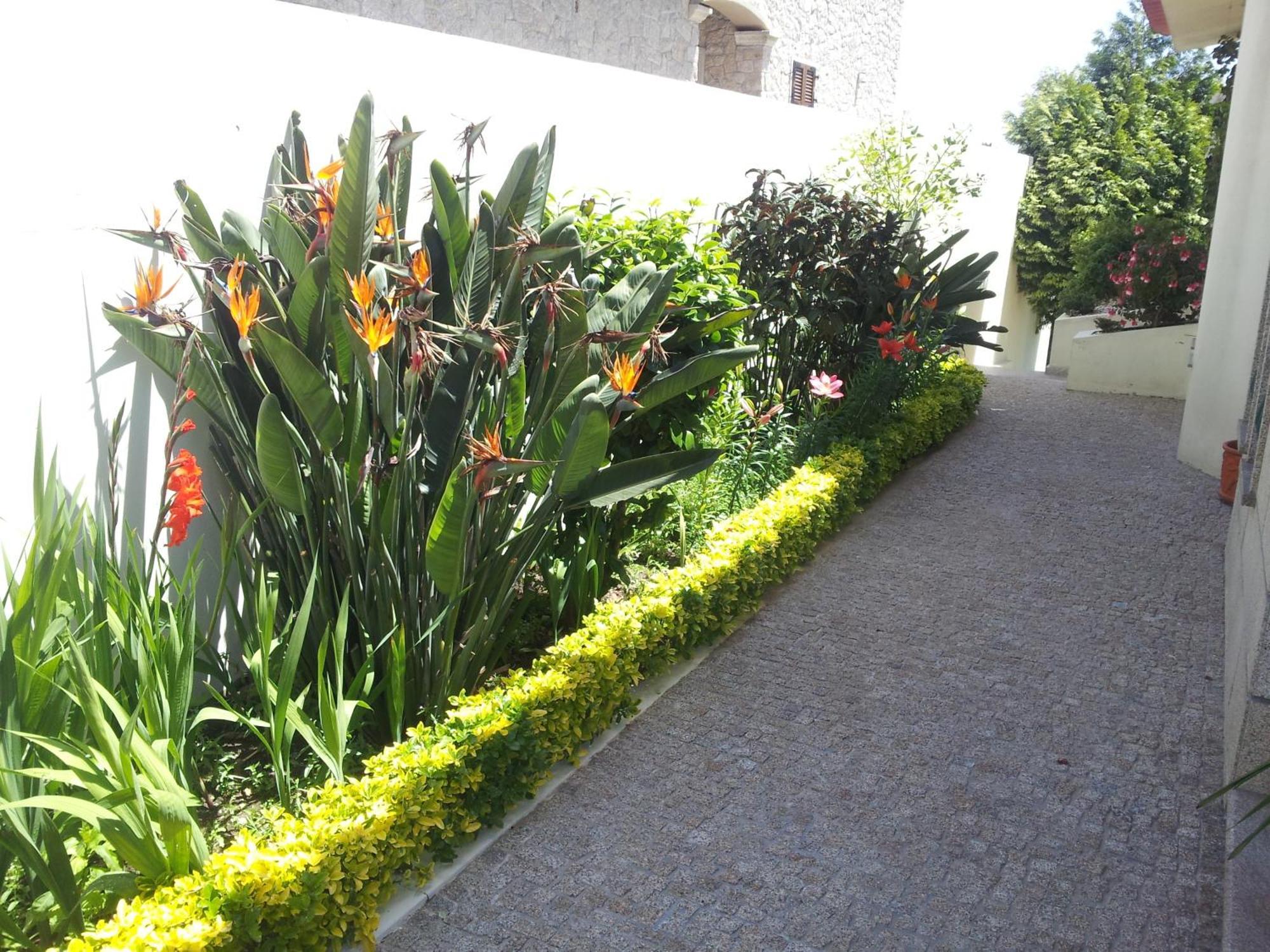 Villa D'Arcos Экстерьер фото